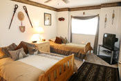 Safari Room
