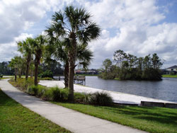 Beach Area