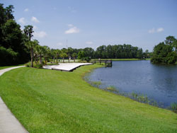 Dock