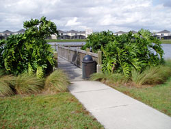 Pier